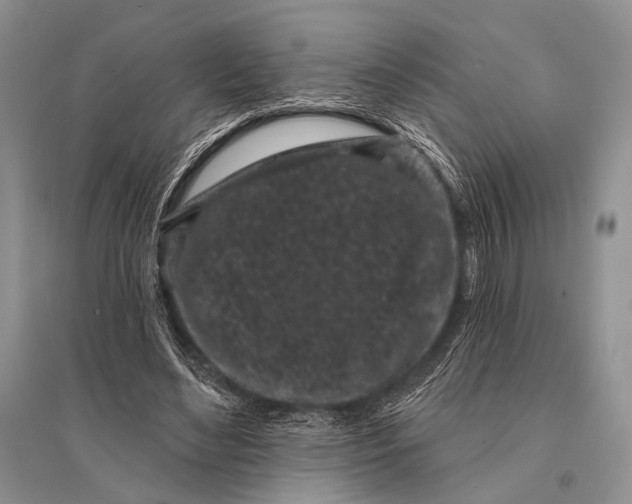 X0000094920492200712201223