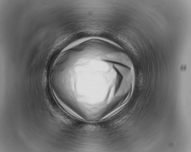 X0000094920494200712201223