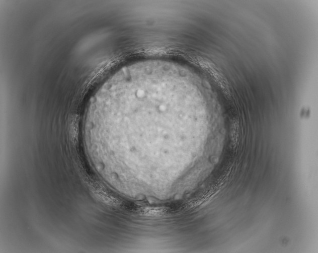 X0000094920495200712201223
