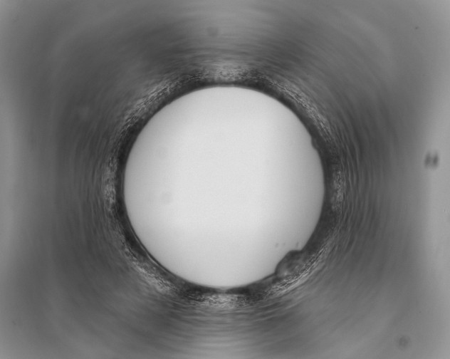 X0000094920497200712201223