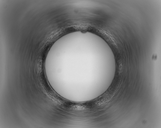 X0000094920498200712201223