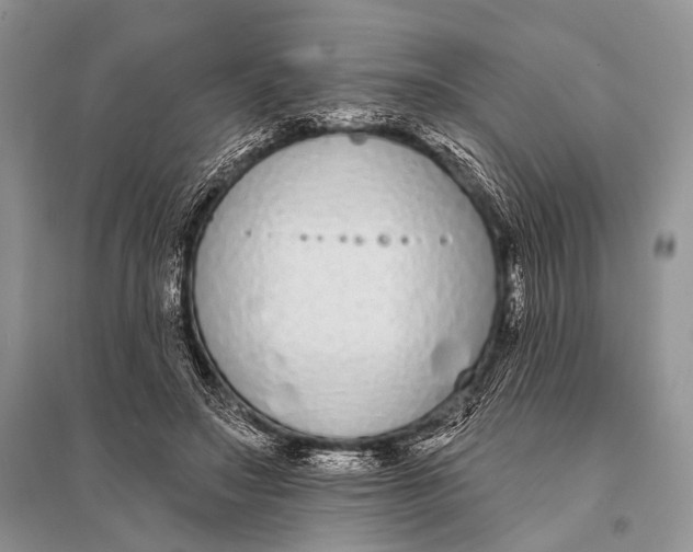 X0000094920499200712201223