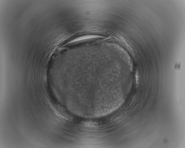 X0000094920500200712201223