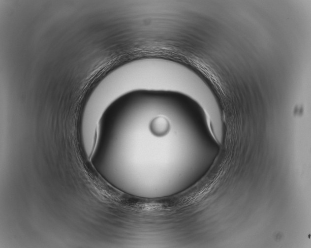 X0000094920501200712201223