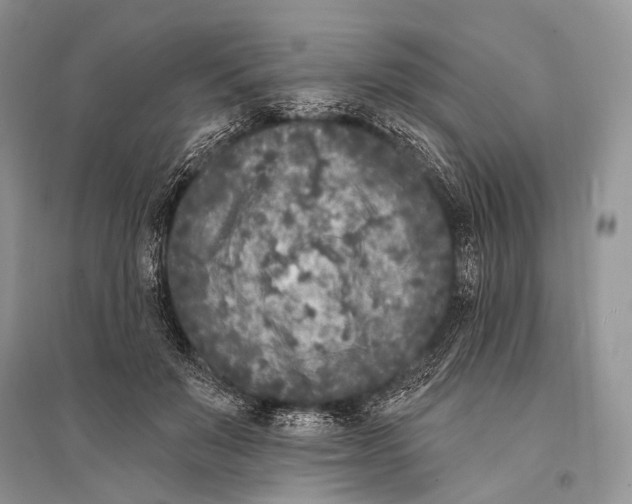 X0000094920503200712201223