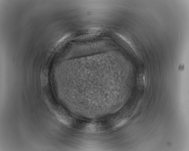 X0000094920504200712201223