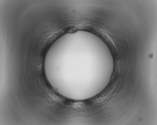 X0000094920505200712201223