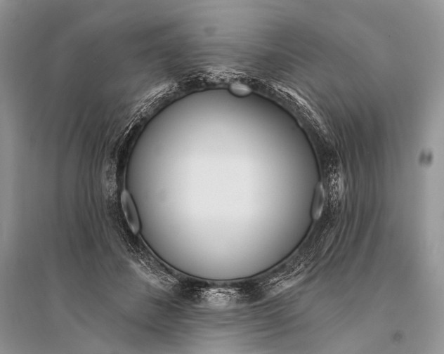 X0000094920508200712201223