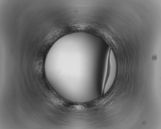 X0000094920509200712201223