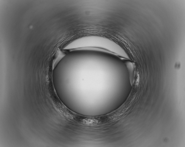 X0000094920512200712201222