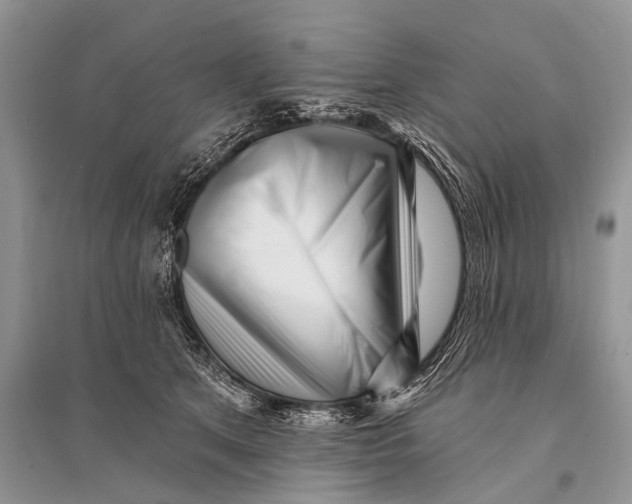 X0000094920513200712201222