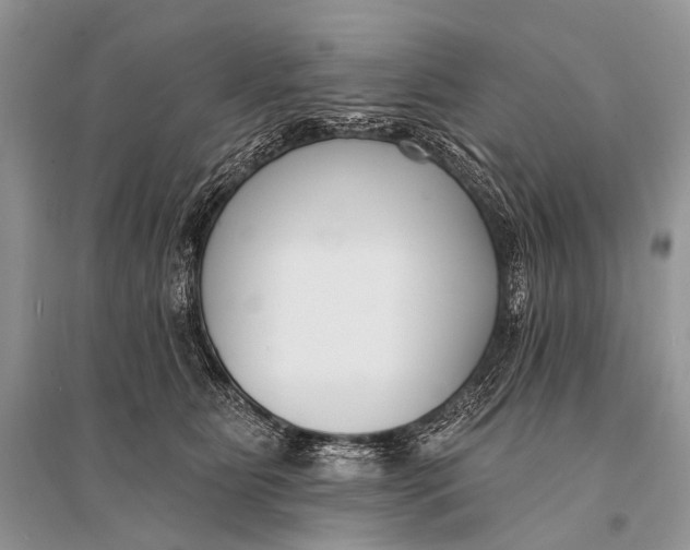 X0000094920515200712201222