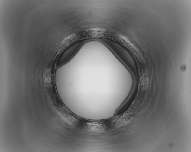 X0000094920516200712201222