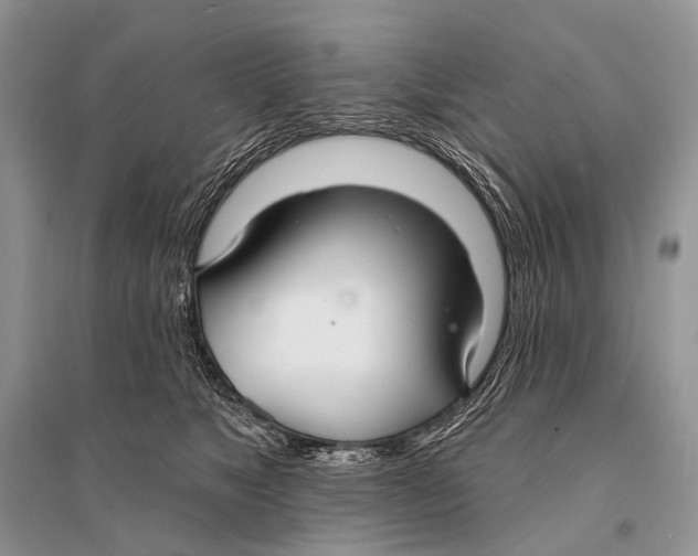 X0000094920517200712201222