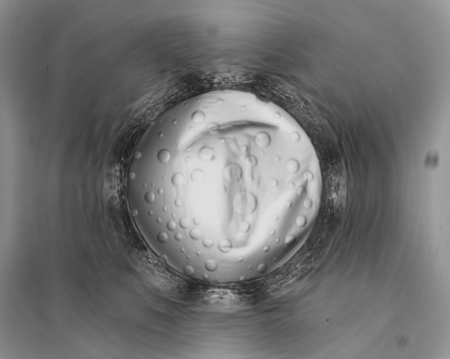 X0000094920519200712201222