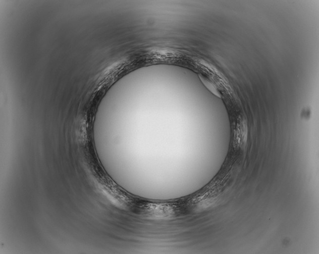 X0000094920520200712201222