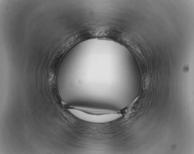 X0000094920521200712201222