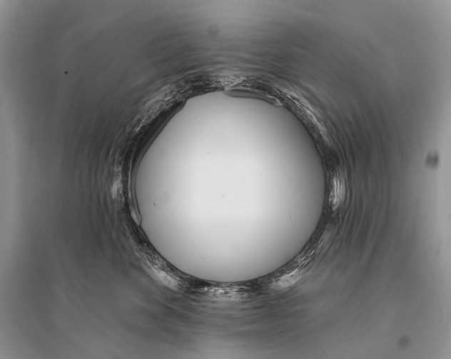 X0000094920524200712201222