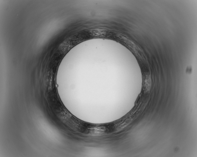 X0000094920525200712201222