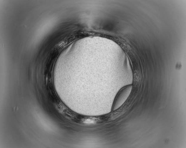 X0000094920527200712201222