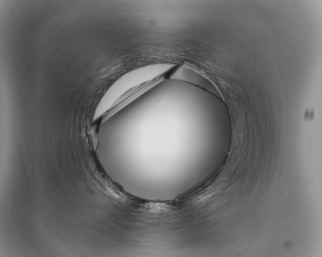 X0000094920528200712201222