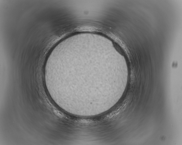 X0000094920529200712201222