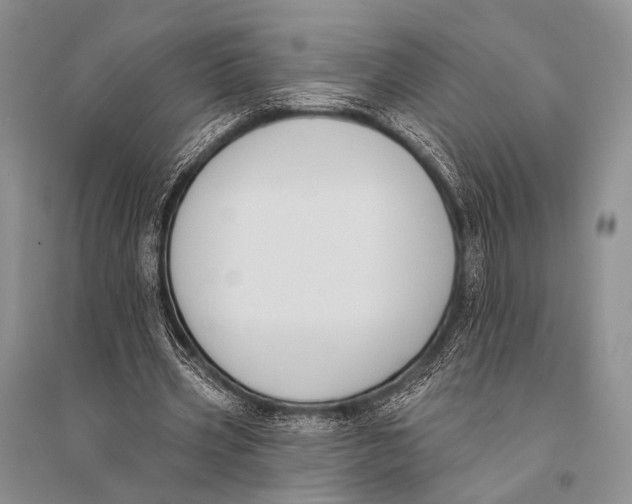 X0000094920533200712201222
