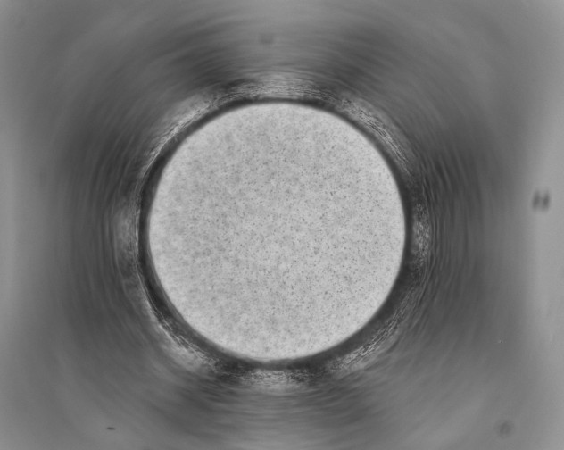X0000094920534200712201222