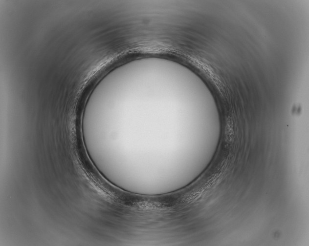 X0000094920535200712201222