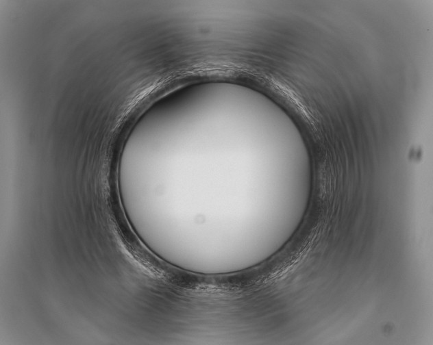 X0000094920538200712201222