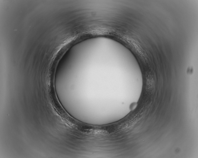 X0000094920539200712201222