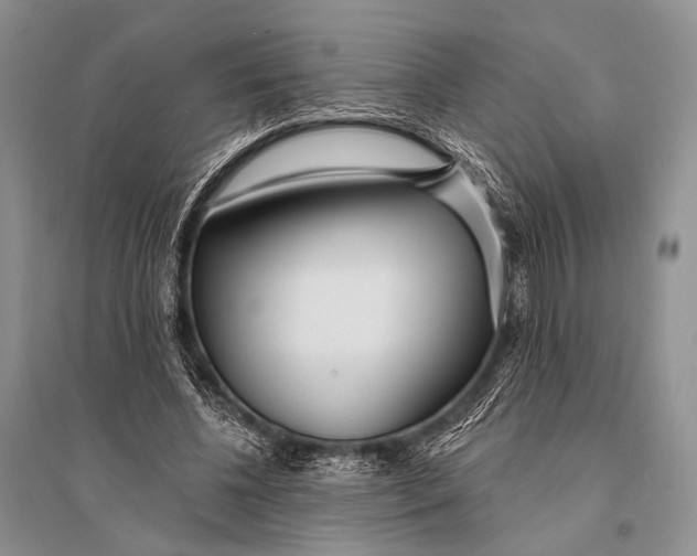 X0000094920540200712201222