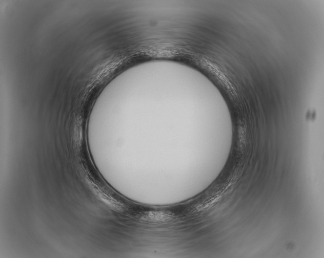 X0000094920541200712201222