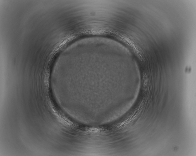 X0000094920542200712201222