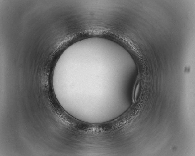 X0000094920543200712201222
