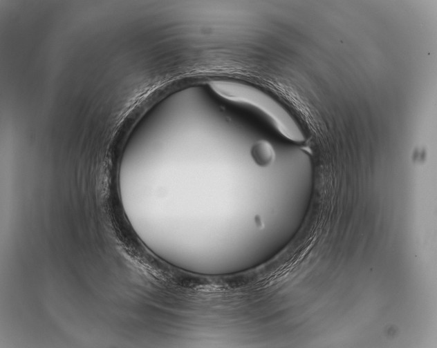 X0000094920544200712201222