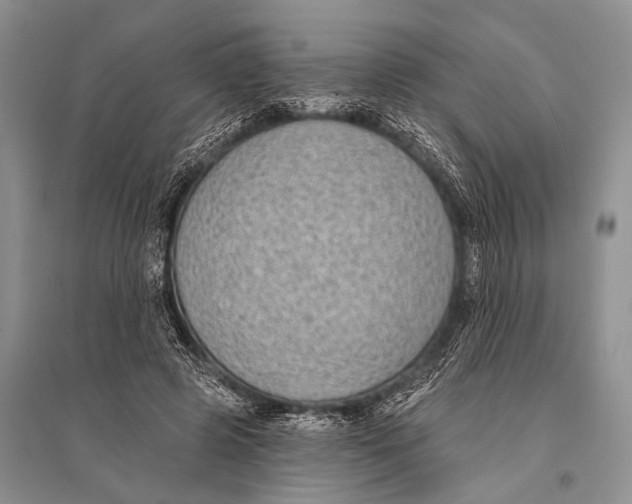X0000094920545200712201222