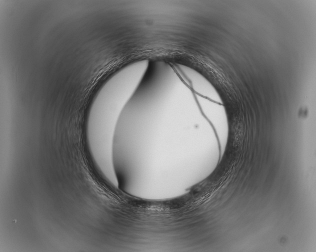 X0000094920546200712201222