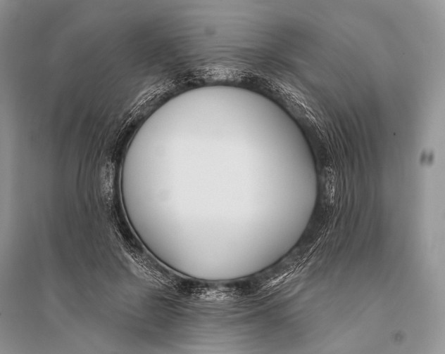 X0000094920550200712201222