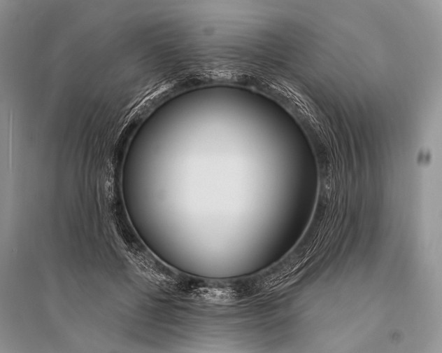 X0000094920552200712201222