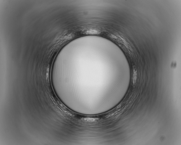 X0000094920553200712201222