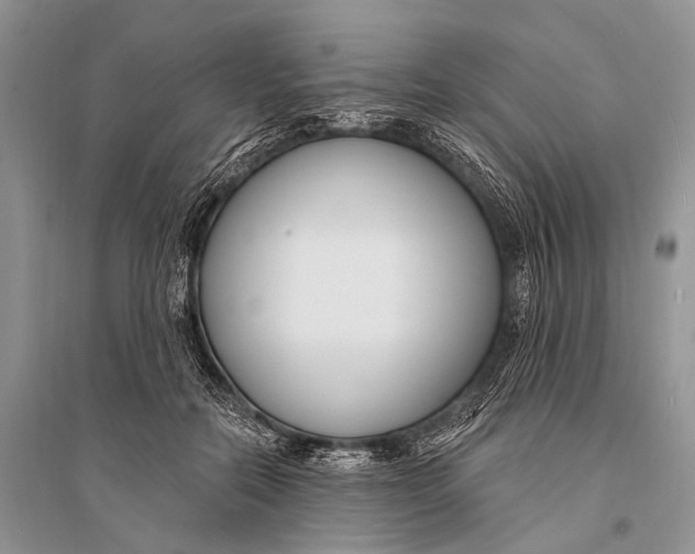 X0000094920554200712201222