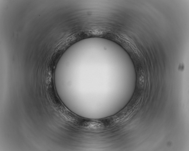 X0000094920555200712201222