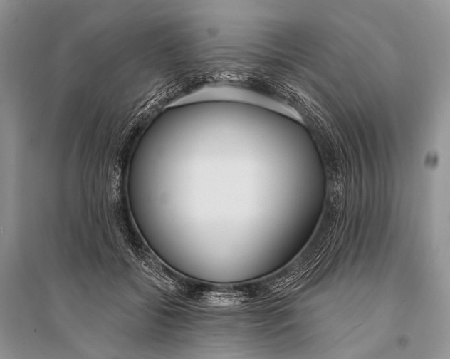 X0000094920556200712201222