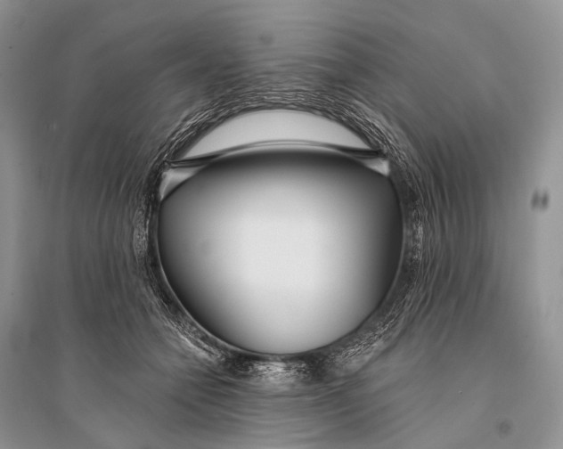 X0000094920558200712201222