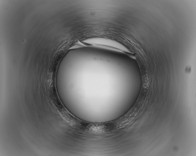 X0000094920560200712201222