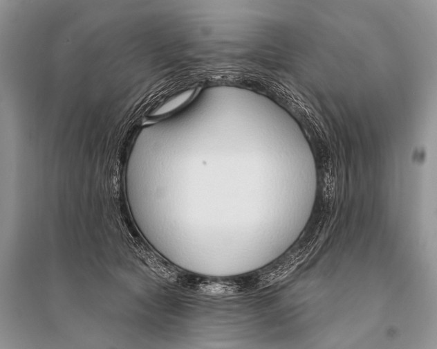 X0000094920561200712201222