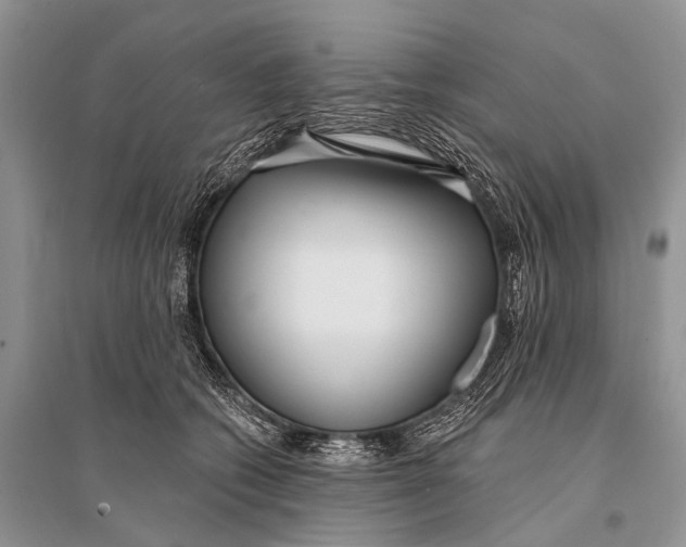 X0000094920562200712201222