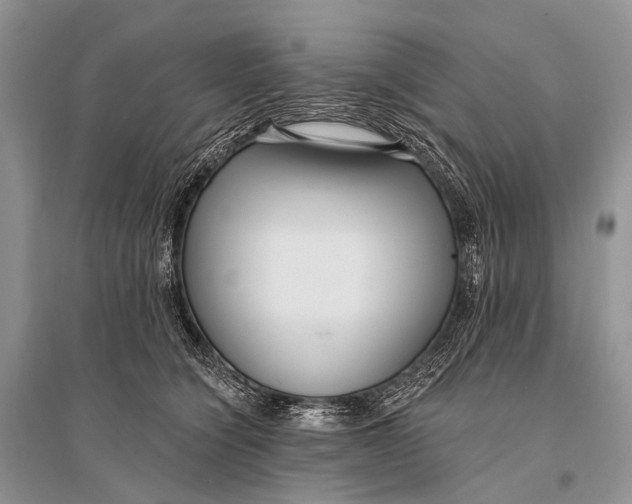 X0000094920564200712201222