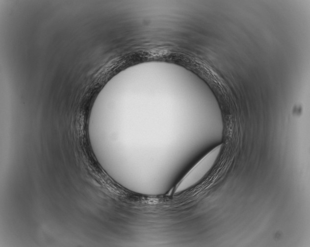 X0000094920565200712201222